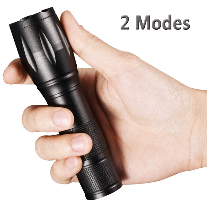 UV Pet Health Detector