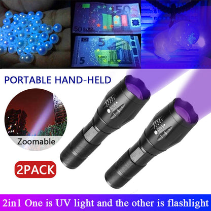UV Pet Health Detector